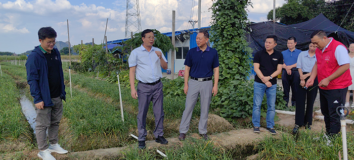 4.调研组在廖屋村韭菜苔基地.jpg