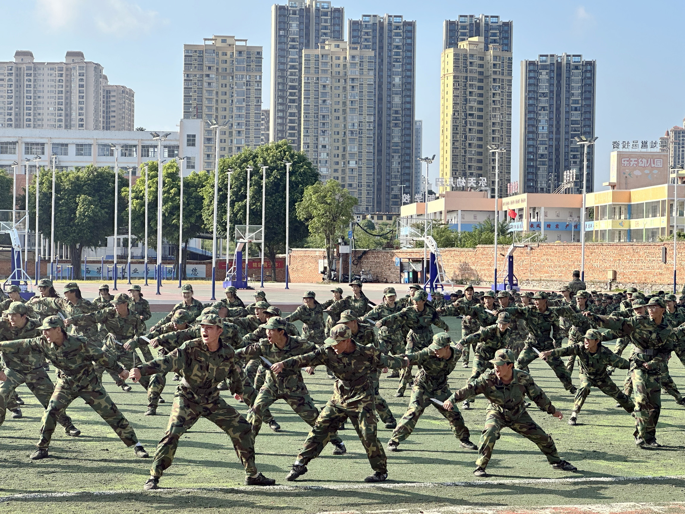 1757033040783557.jpg 1757033040783557.jpg